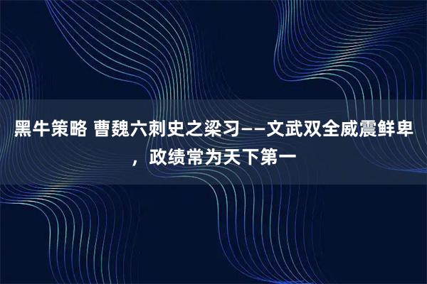 黑牛策略 曹魏六刺史之梁习——文武双全威震鲜卑，政绩常为天下第一