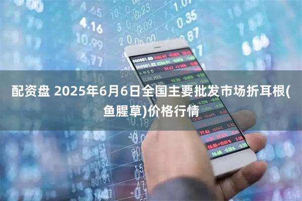 配资盘 2025年6月6日全国主要批发市场折耳根(鱼腥草)价格行情