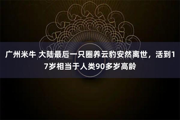 广州米牛 大陆最后一只圈养云豹安然离世，活到17岁相当于人类90多岁高龄